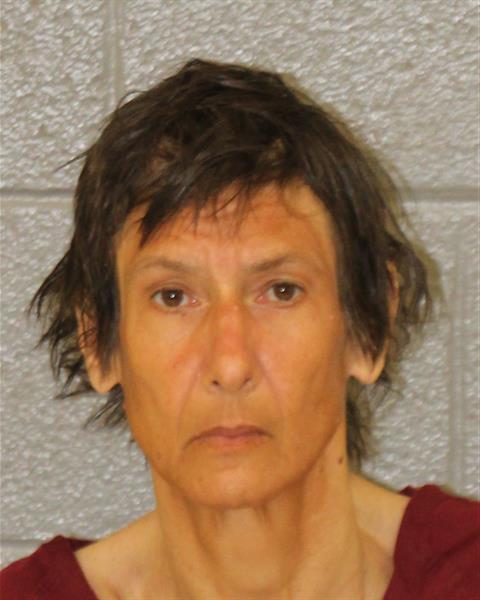 Brenda Kolcum booking photo