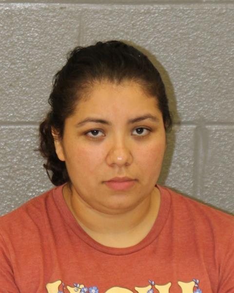Norma Amaya-yanez booking photo