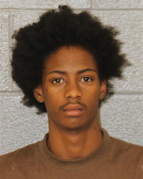 Ty'resse Johnson booking photo