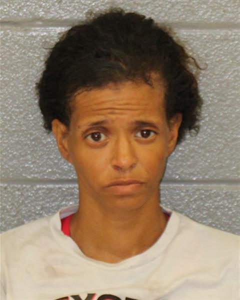 Ashley Johnson booking photo