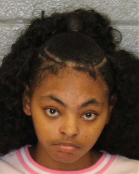 Shelby Howard booking photo