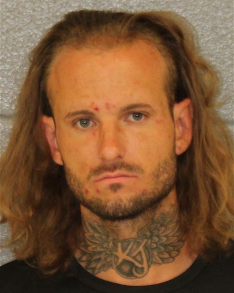 Kevin Sullivan booking photo