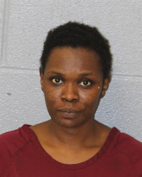 Courtnei Johnson booking photo