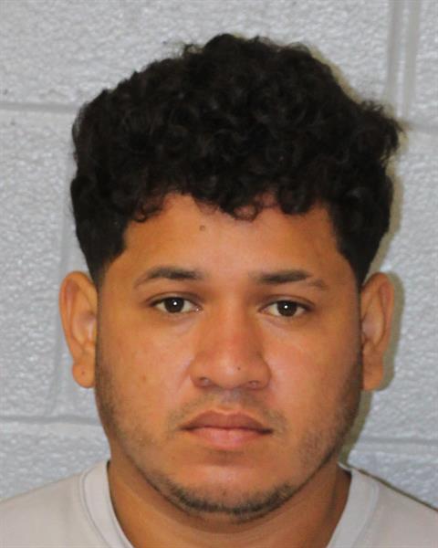 Elvi Turcios-munoz booking photo