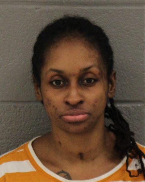 Teena Houston booking photo