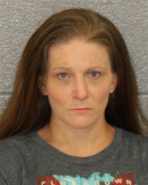 Amanda Dryman booking photo