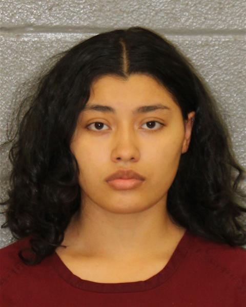 Alison Salinas booking photo