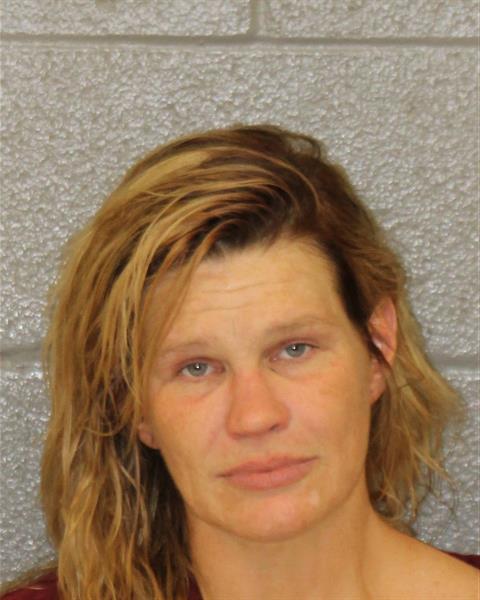 Hayley Parker booking photo