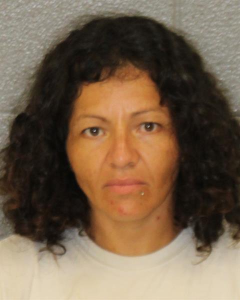 Fabiola Machado-sanchez booking photo