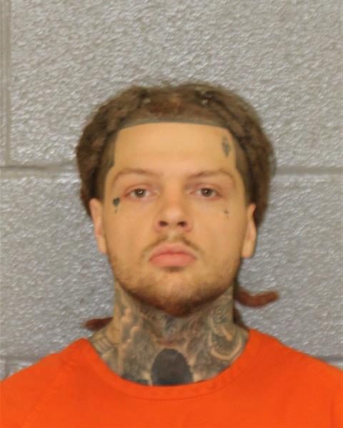 Booking photo of Colby Brown