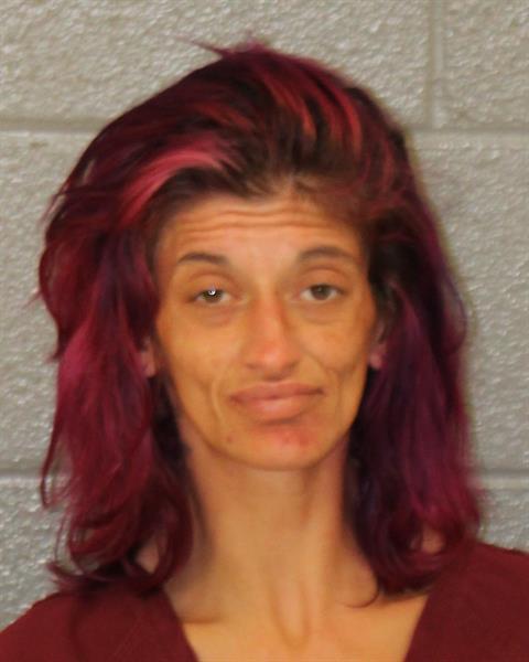 Abaigail Fowler booking photo
