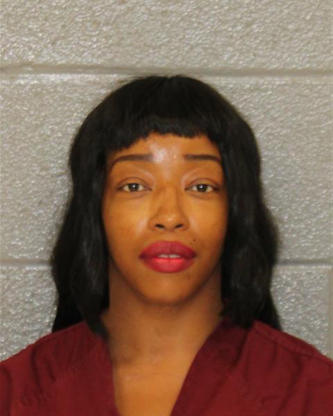 Brittany Gibson booking photo