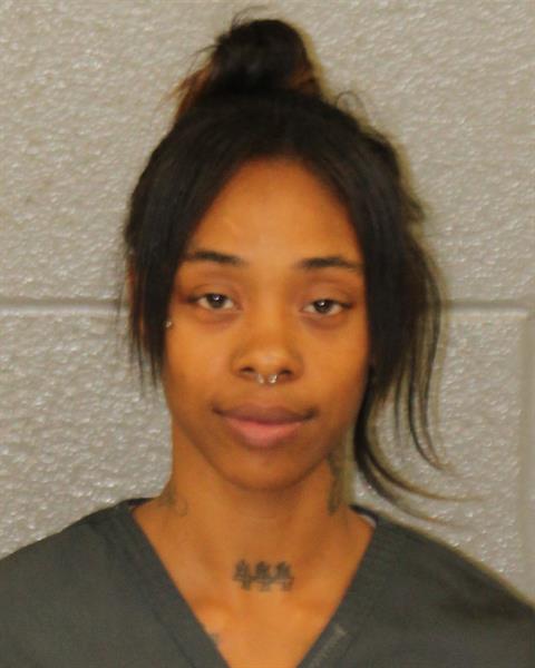 Shanetta Williams booking photo