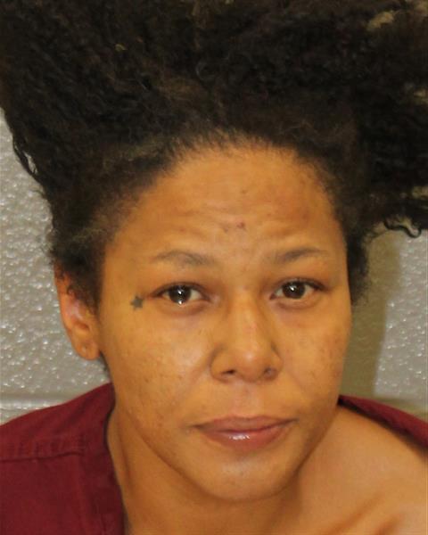 Shari Delgado booking photo