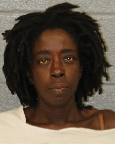 Selbrani Mccain booking photo