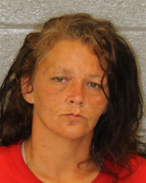 Briana Rodich booking photo