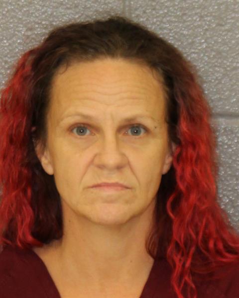 Amanda Taylor booking photo