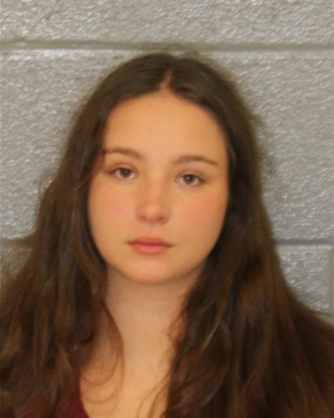 Sophia Simonelli booking photo