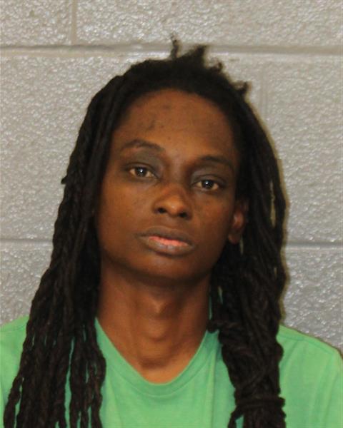 Brittany Phillips booking photo
