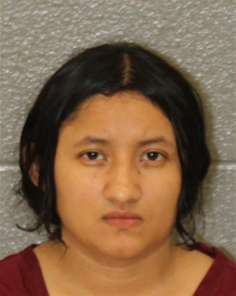 Yessica Romero-castro booking photo