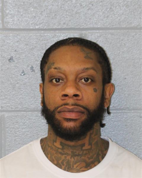 Cameron Holly booking photo