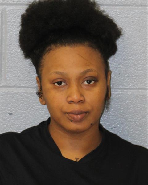 Brittany Mcknight booking photo