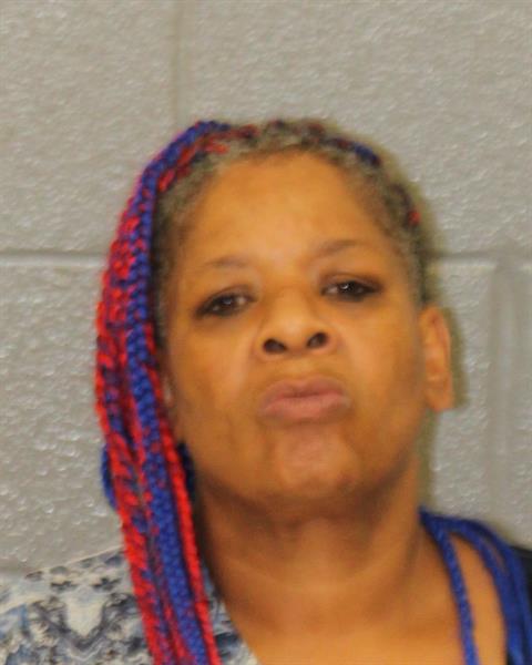 Booking photo of Michelle Pressley