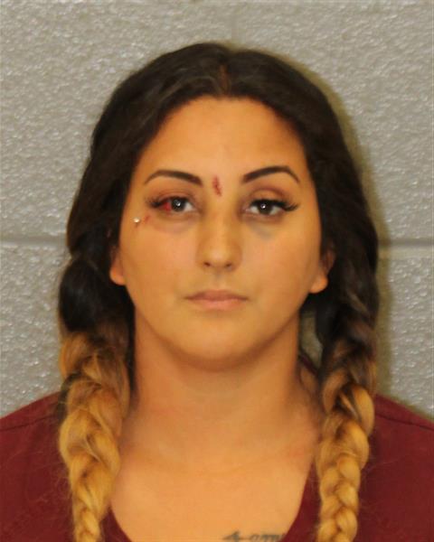 Booking photo of Erica Ortiz