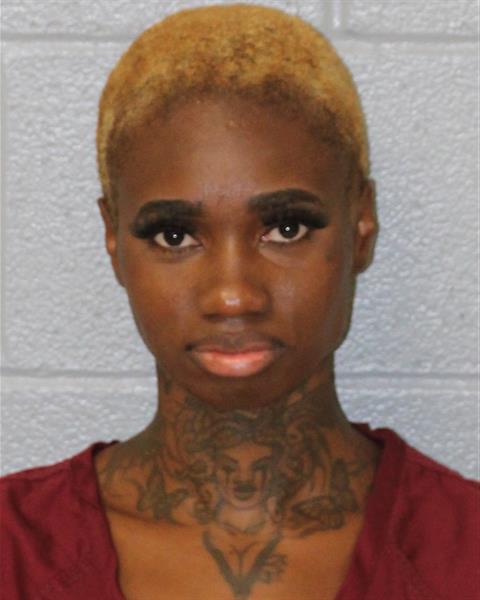 Booking photo of Deja Troy