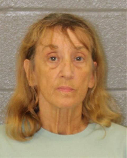 Booking photo of Dawn Elsea