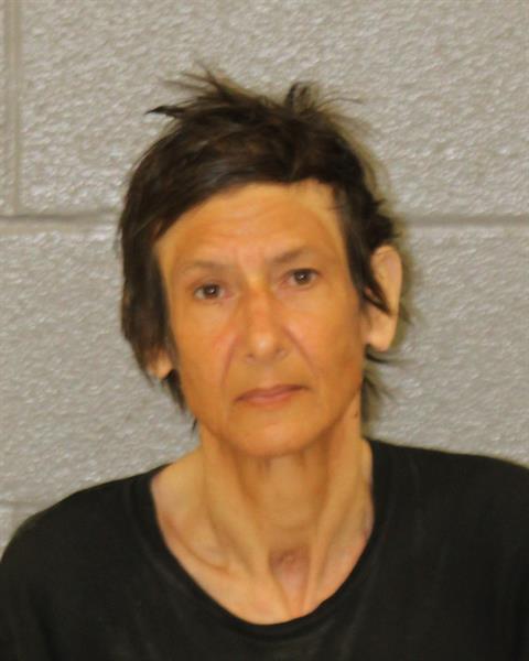 Booking photo of Brenda Kolcum