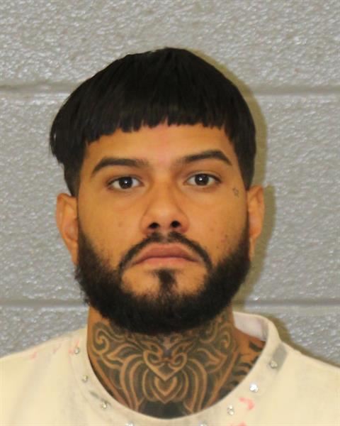 Booking photo of Gerley Melo