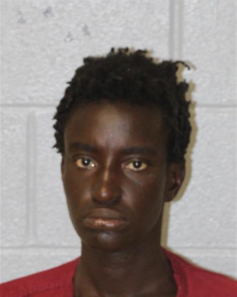 Booking photo of Aminata Sylla