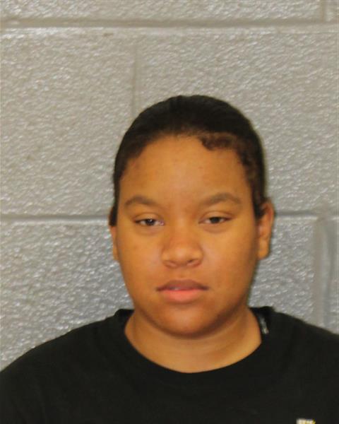 Booking photo of Dezaraye Mcallister-mcnair