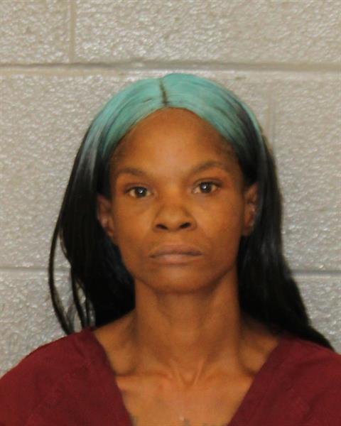 Booking photo of Tameka Morrow