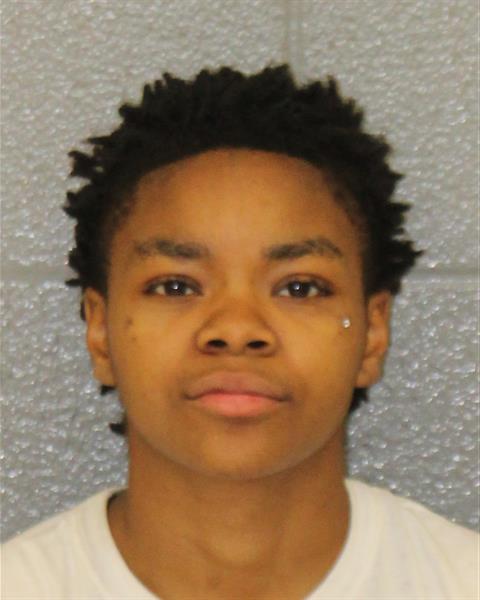 Booking photo of Arshanea Cook