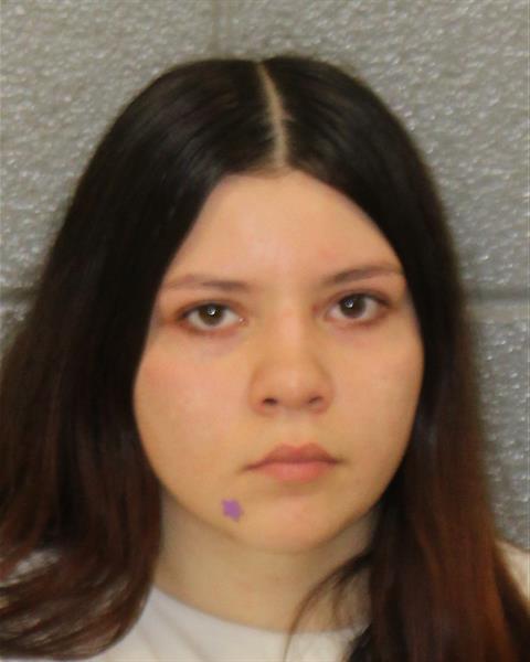 Booking photo of Daniela Zanella-pagoaga