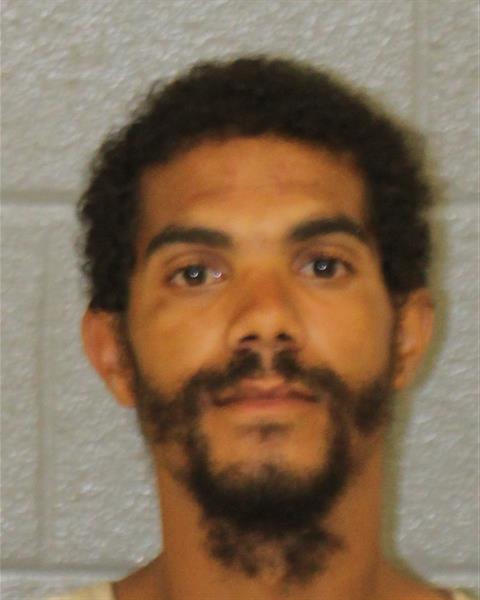 Booking photo of Sergio Grugan
