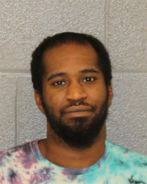Booking photo of Dominic Steele