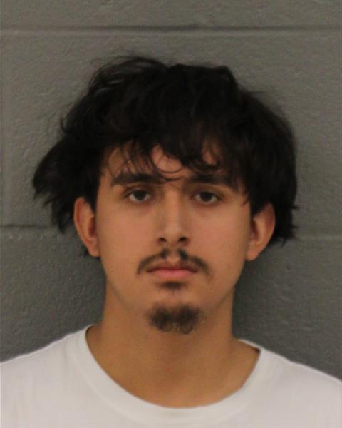 Booking photo of Emanuel Chernetskiy
