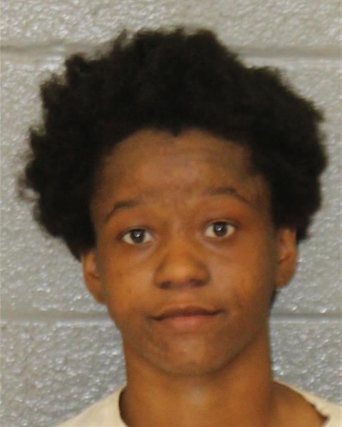 Booking photo of Diara Williams