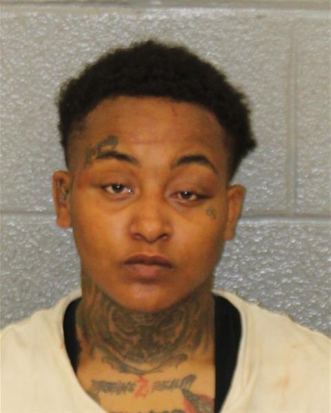 Booking photo of Aaliyah Lowery