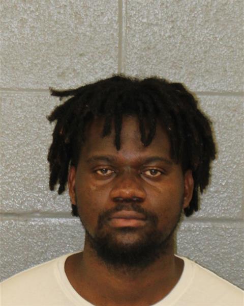 Booking photo of Rooby Dameus