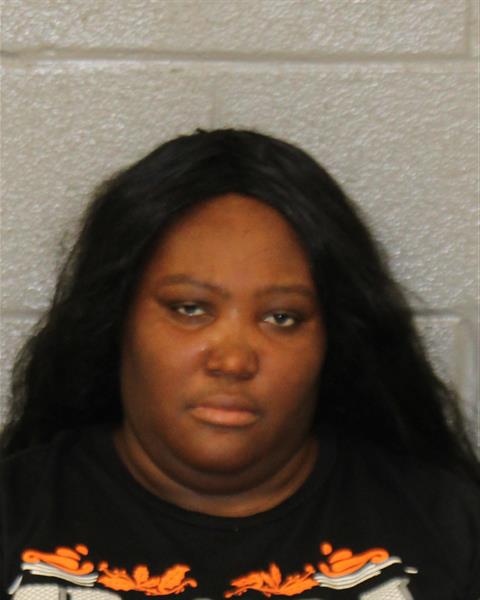 Booking photo of Brianna Goode