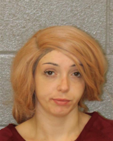 Lauren Vaccaro booking photo