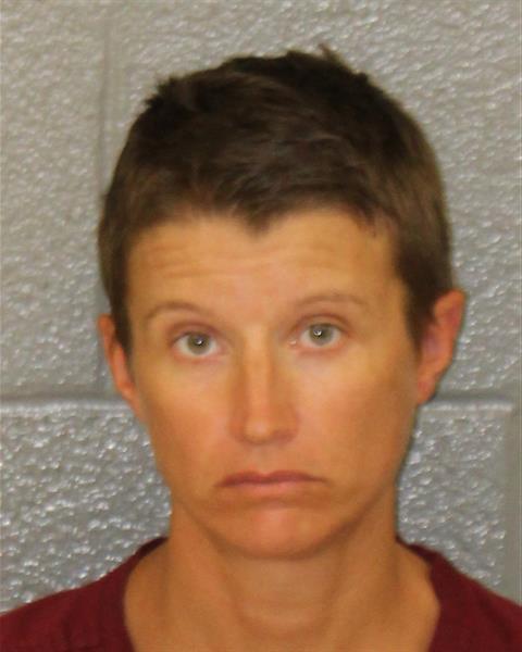 Jelyn Ware booking photo