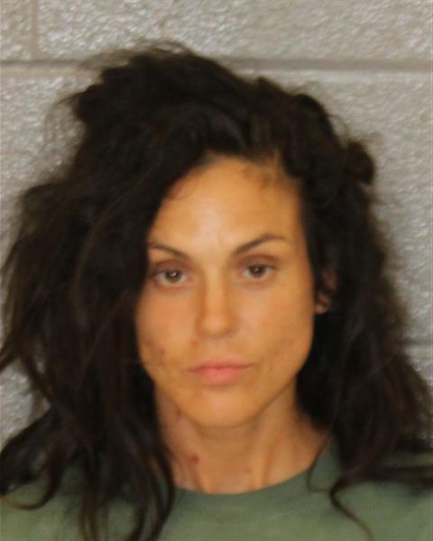 Lauren Mcdonnell booking photo