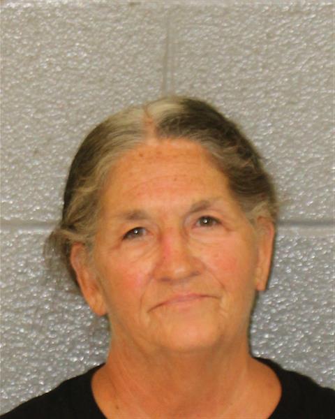 Lisa Brown booking photo