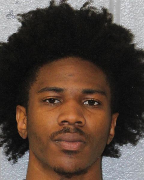 David Johnson booking photo