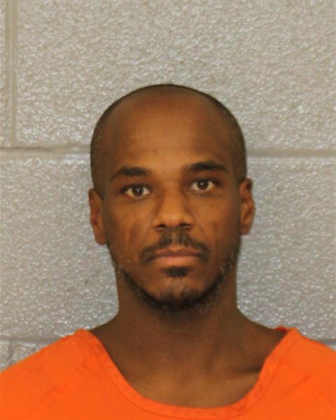 Falaah Ortega booking photo
